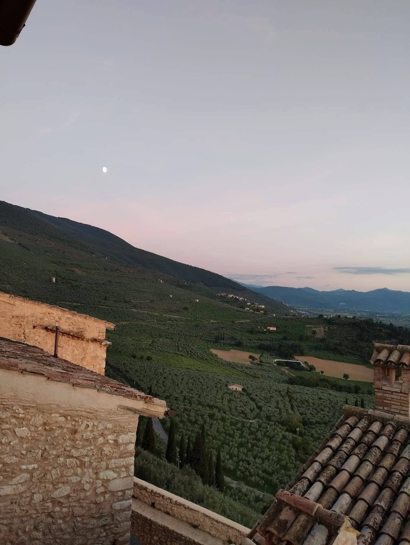 Uliveti sulle pendici della Valle Umbra al crepuscolo, con la luna nel cielo rosato